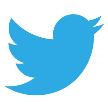 Twitter i  niebieski ptak, czyli co nieco o identyfikacji wizualnej