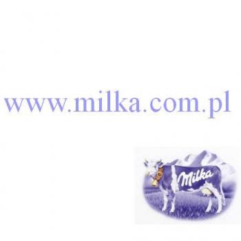Znaczenie projektu strony internetowej na przykładzie Milki